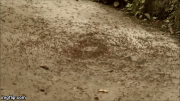 Паттерны в жизни человека