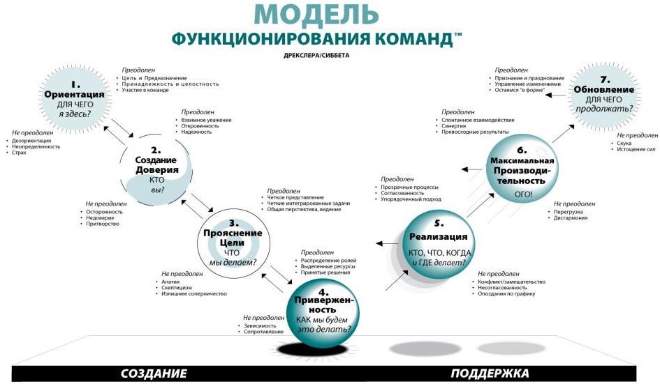 Этапы жизненного цикла команды проекта