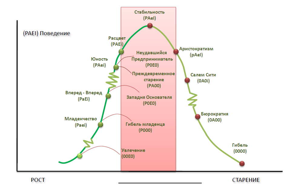 Модель жизненного цикла организации И. Адизеса